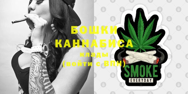 молекула духа Зеленокумск