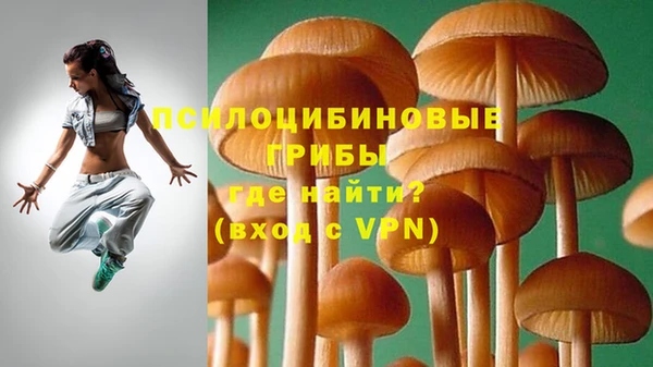 а пвп мука Заволжье