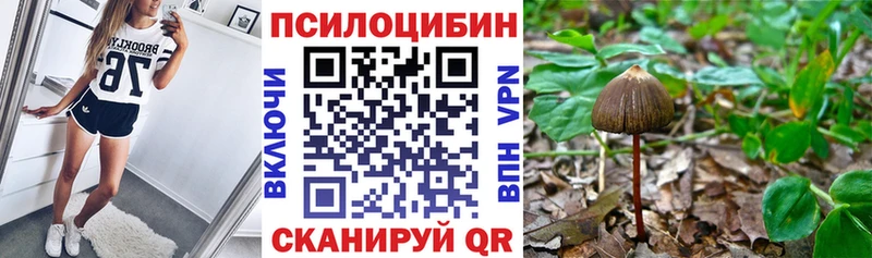 Купить закладки  Верхний Тагил  Галлюциногенные грибы ЛСД 